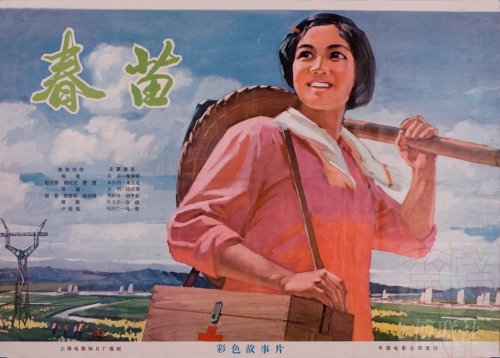 哪里能办冰岛驾驶证